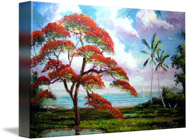 Png Download Amazon Drawing Gulmohar Tree - Gallery-wrapped Canvas Art Print 16 X 10 Entitled Blooming (650x486), Png Download