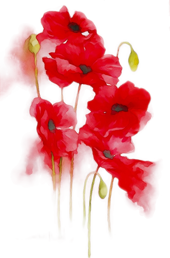 Tattoo Clipart Temporary Tattoos Sleeve Tattoo (561x848), Png Download