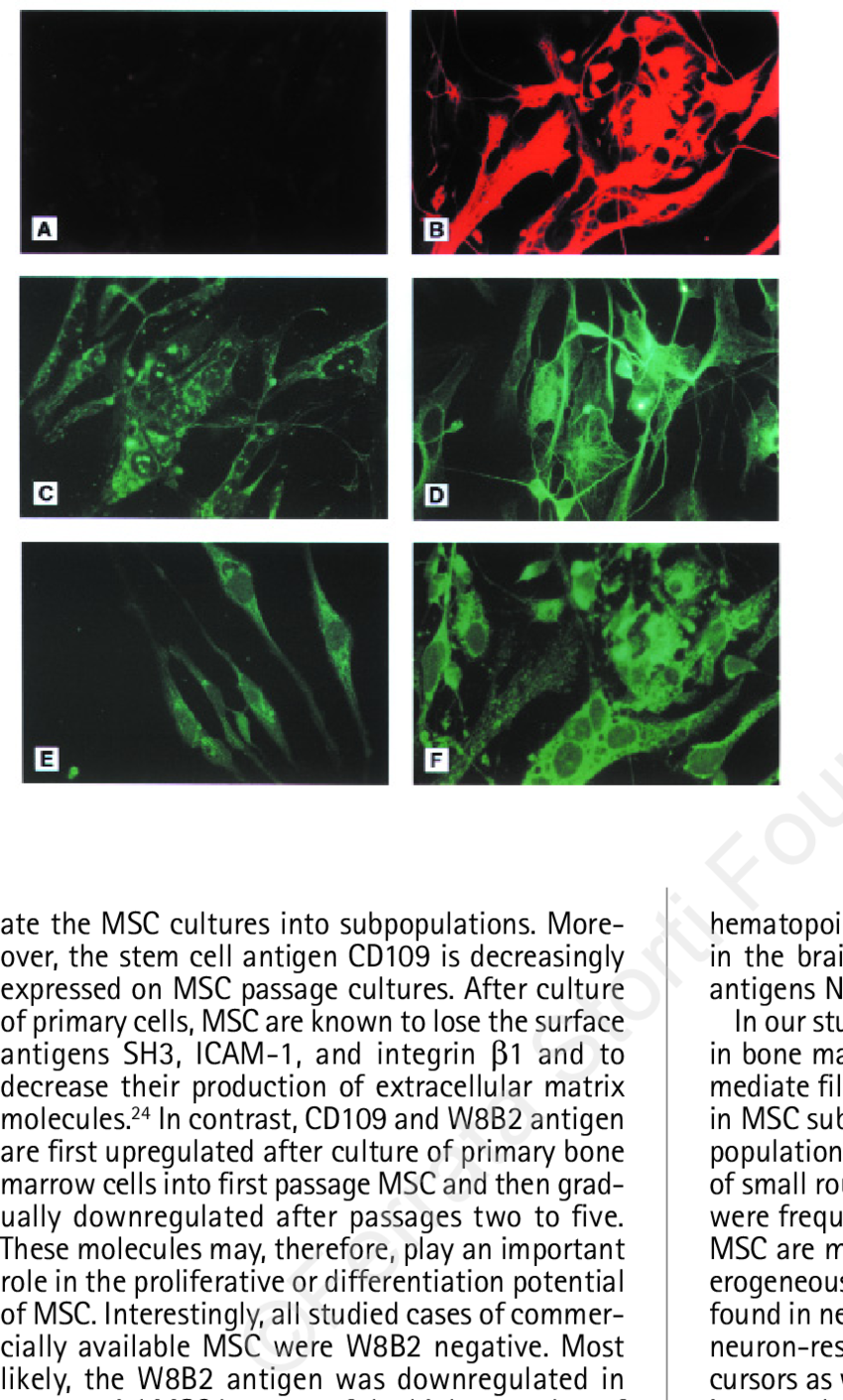 Alexa Fluor 488 Or Rhodamine Red 570 Immunofluorescence (850x1411), Png Download