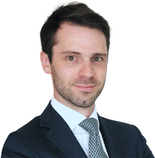 Paolo Bolis - Businessperson (638x536), Png Download