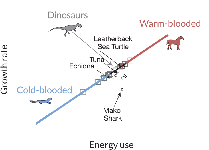 Hot Blooded Or Cold Blood Or In Between - Warm Blooded And Cold Blood (730x526), Png Download