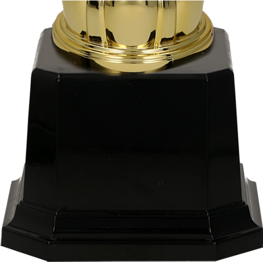 Gold Cup Png (570x630), Png Download