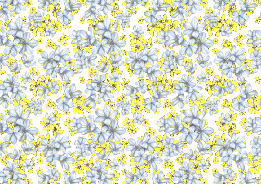 Mix Fiorellini Gialli &amp - Alyssum (842x596), Png Download