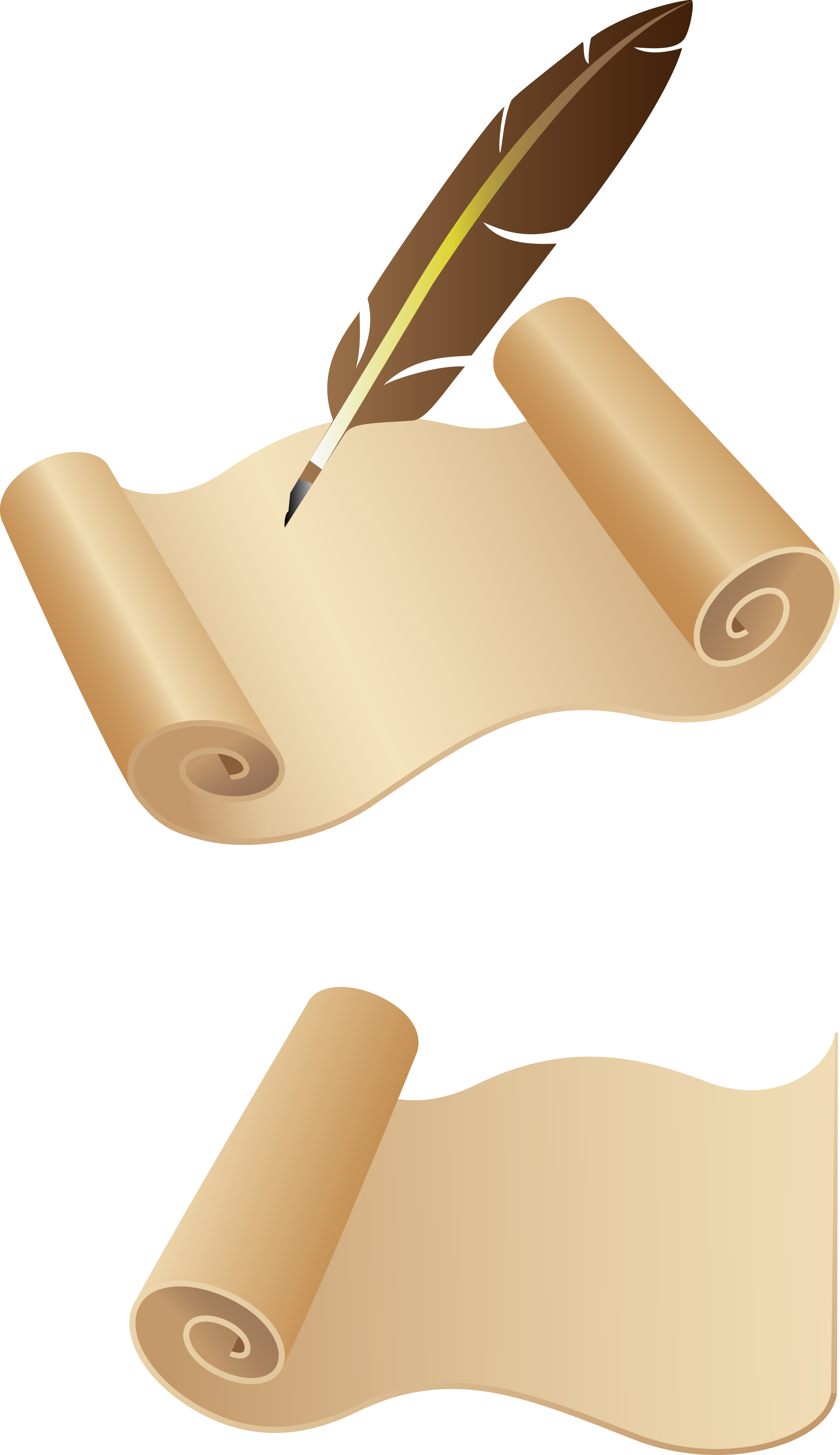 Papel Pluma De Ave Pergamino - Quill Pen (2923x5063), Png Download