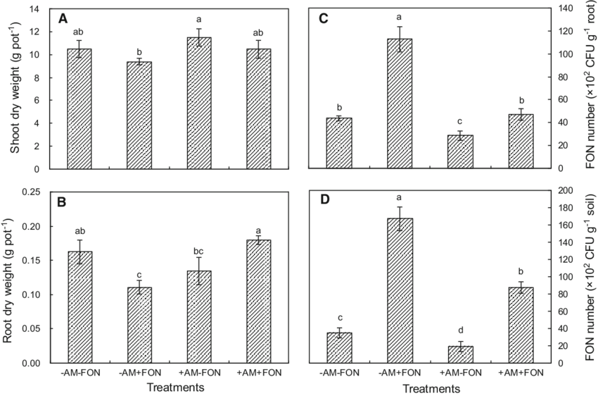 Biomass Of Watermelon Plants And The Number Of Fon - Commercial Building (850x562), Png Download