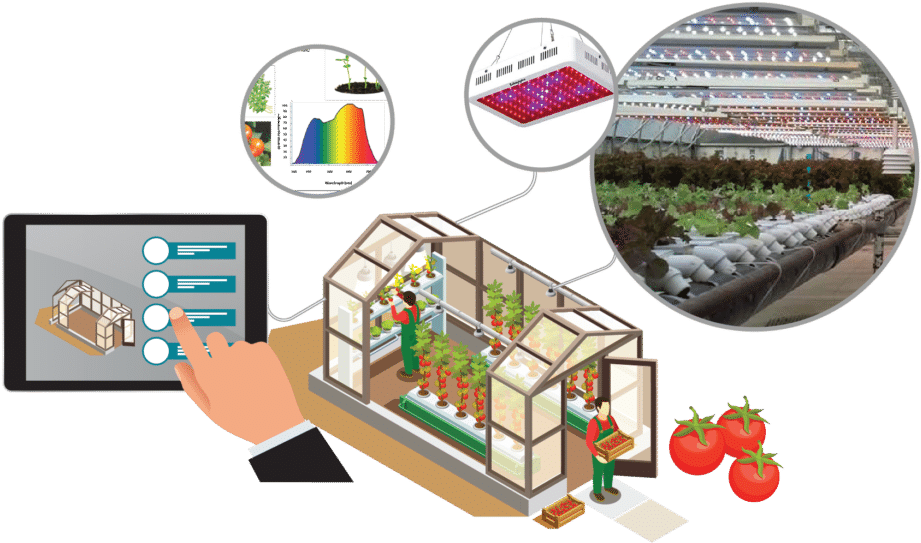 Smart Greenhouse Lighting - Smart Greenhouse Taiwan (1024x561), Png Download