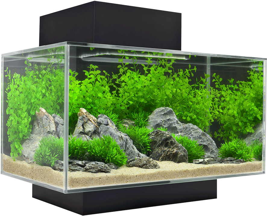 Acuario Fluval Edge Leds 23 Lt Negro (947x750), Png Download