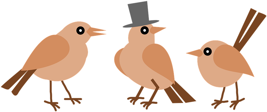 Passarinhos Vintage Png - Bird (960x444), Png Download