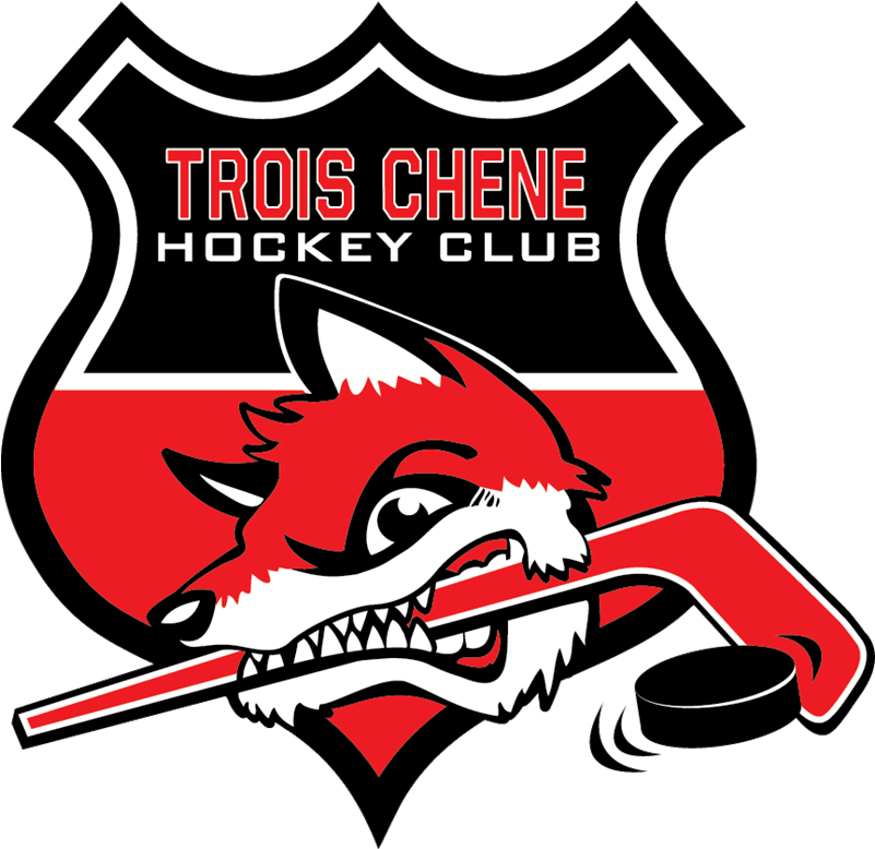 Goal Efficiency - - - Trois Chene Hockey Club (800x800), Png Download