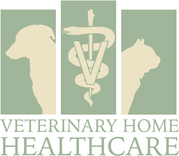 Vhhlogo2edit2 - Portable Network Graphics (1000x1000), Png Download