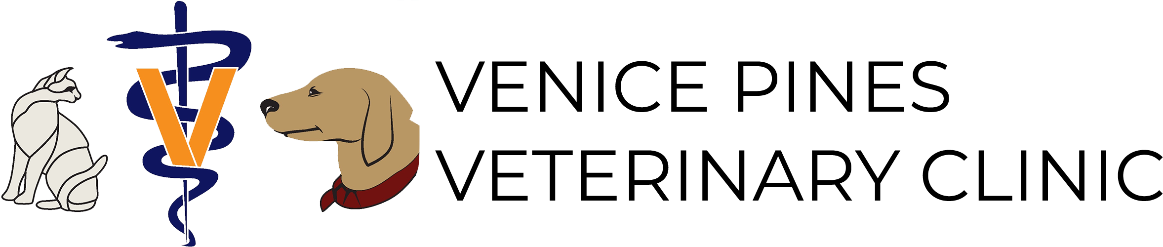 Home - Patient (2400x500), Png Download