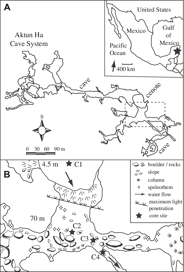 Map Of Aktun Ha Cave And Its Location Along The Caribbean - Cave (715x1054), Png Download