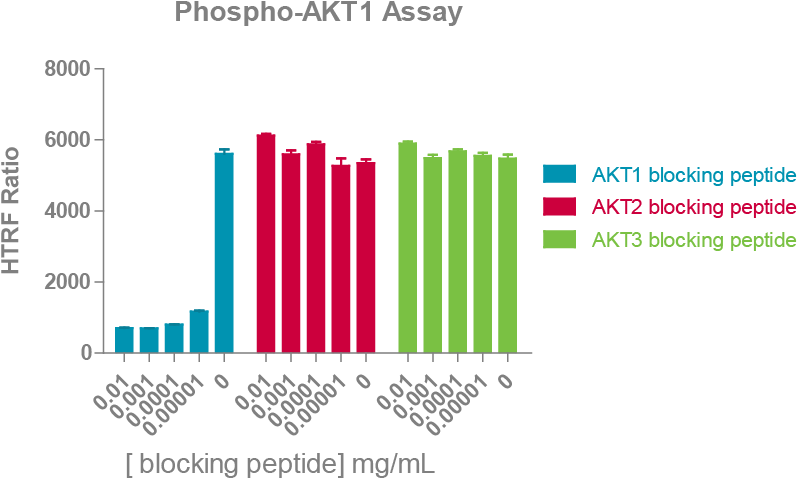 Total Akt1, Total Akt2 Or Total Akt3 Detection Reagents - Phospho Akt Western Assay (856x587), Png Download