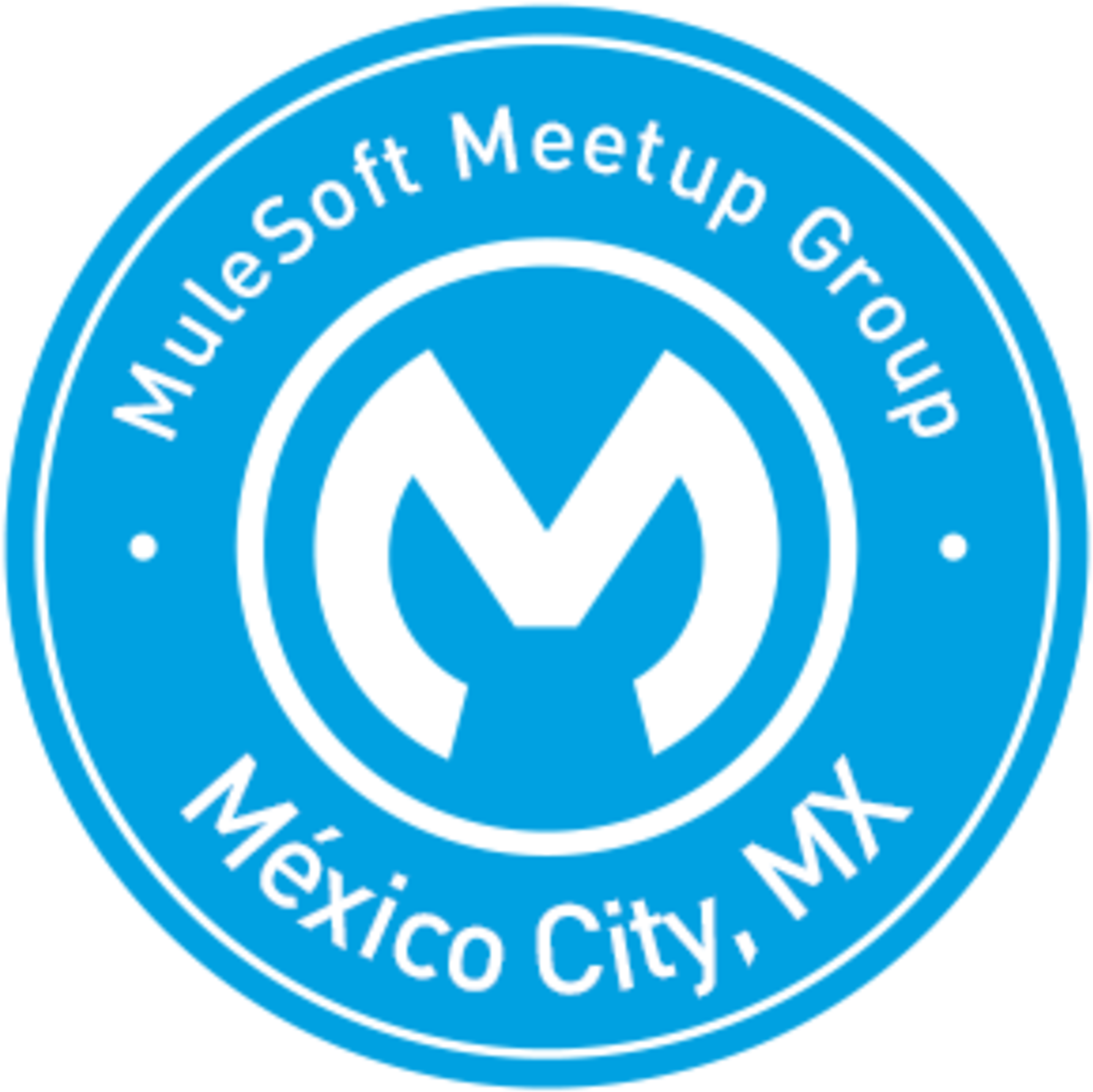 Mulesoft Meetups México City - Mexico City (rough Guides Snapshot Mexico) (2160x2160), Png Download