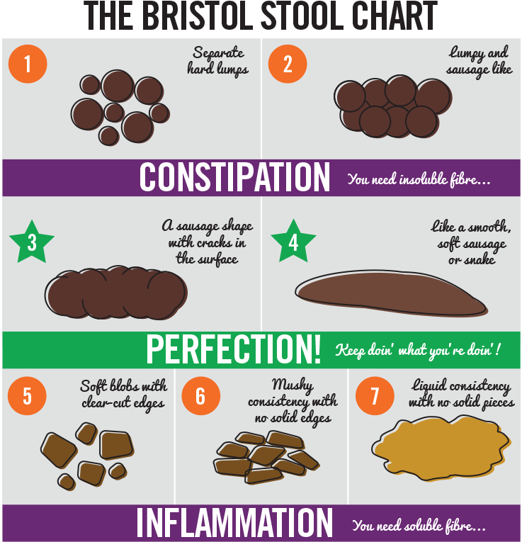 How To Eat For A Healthy Bowel (800x818), Png Download