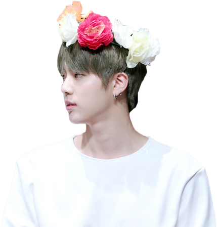 #bts #bts Jin #k-pop #k Pop #kpop #jin #bangtan #bangtan - Seventeen Jun Bts Jin (700x466), Png Download