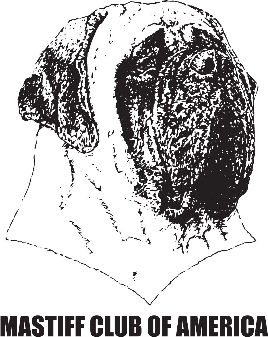Mastiff Club Of America - Mastiff Club Of America (mcoa) Mastiff Club Of America (936x1200), Png Download