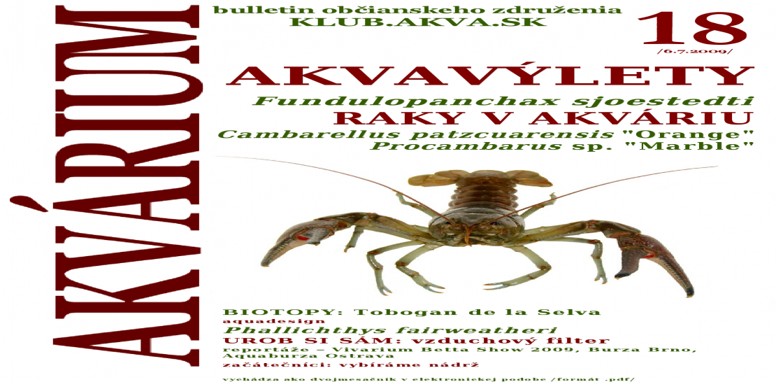 Insect (1200x630), Png Download