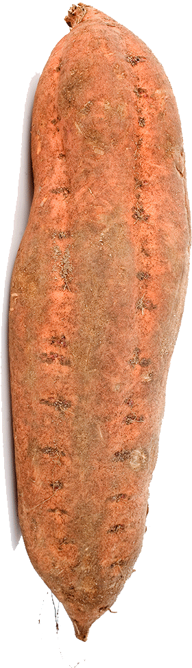 American Sweet Potatoes - Sweet Potato (847x1000), Png Download