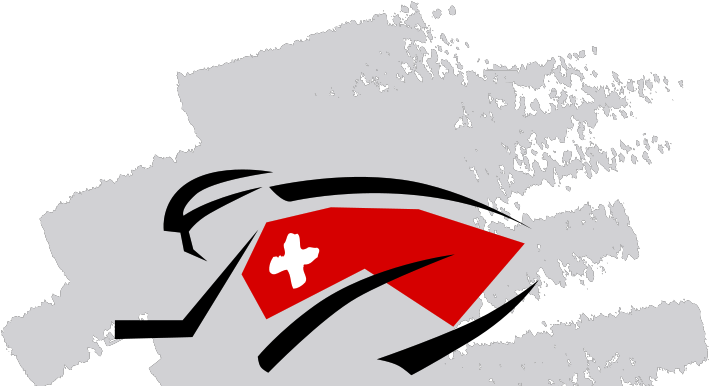 Without The Swiss Flag (755x407), Png Download