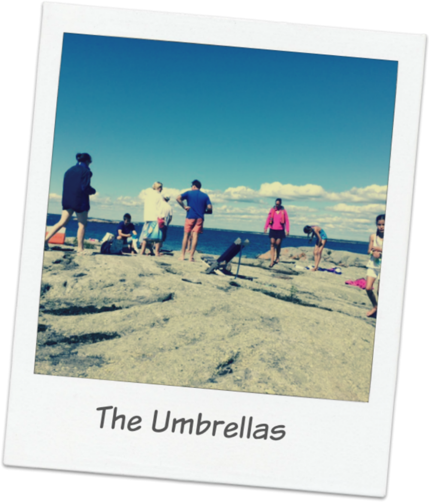 Picnic At Umbrellas 3frame - Picnic (878x1024), Png Download