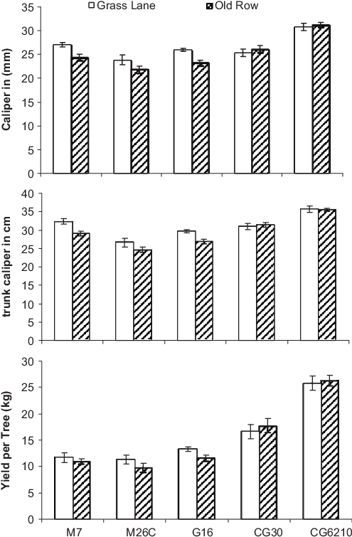 Width Of Empire Apple Tree Trunks Grafted On The Rootstocks - National 204005 National Knuckle Seal (498x762), Png Download