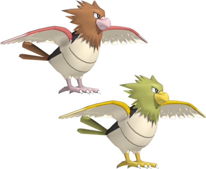 Download Zip Archive - Spearow (750x650), Png Download