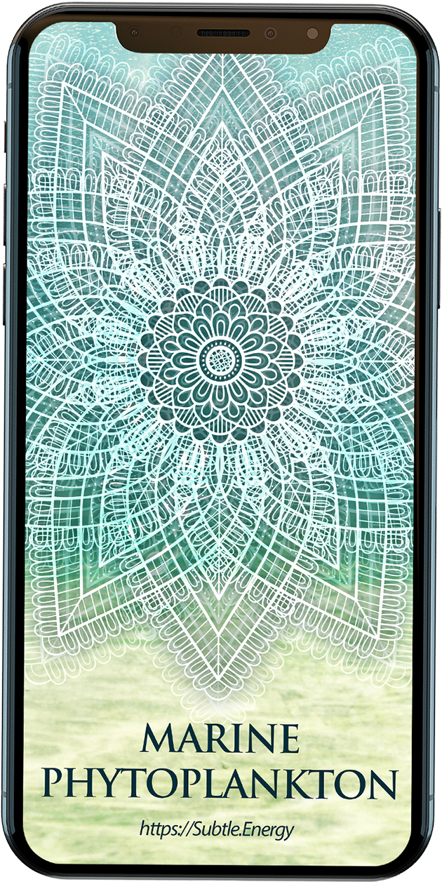 Marine Believe It Or Not The Regular - Smartphone (1350x1350), Png Download