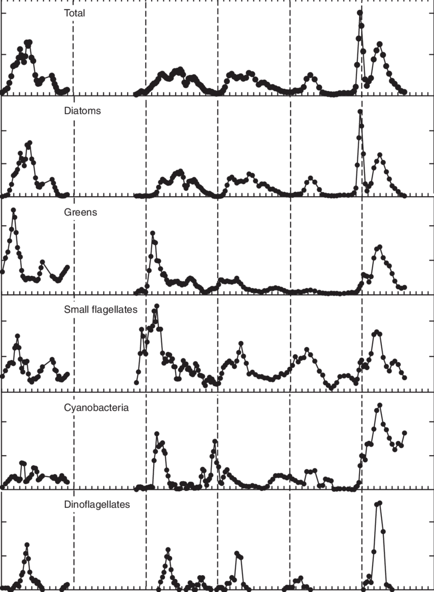 Time Series For The Biovolume Of Major Phytoplankton - Diagram (850x1159), Png Download