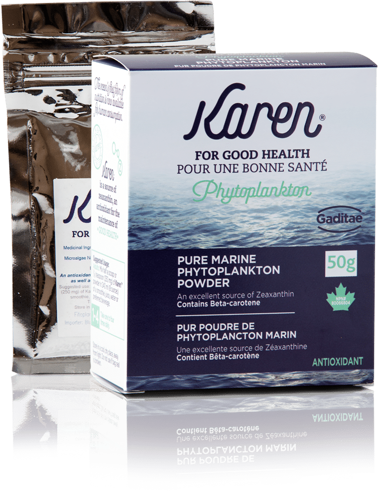 Previous - Phytoplankton (1200x1200), Png Download