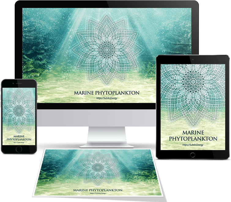 Marine Phytoplankton (787x672), Png Download