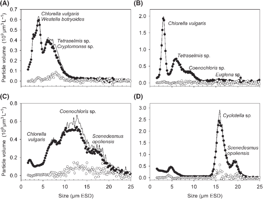 Size Distribution Of Phytoplankton Particles In Control - Diagram (850x644), Png Download
