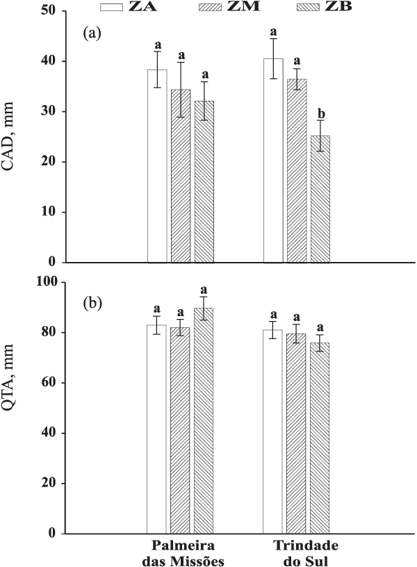 Download - Diagram (600x816), Png Download
