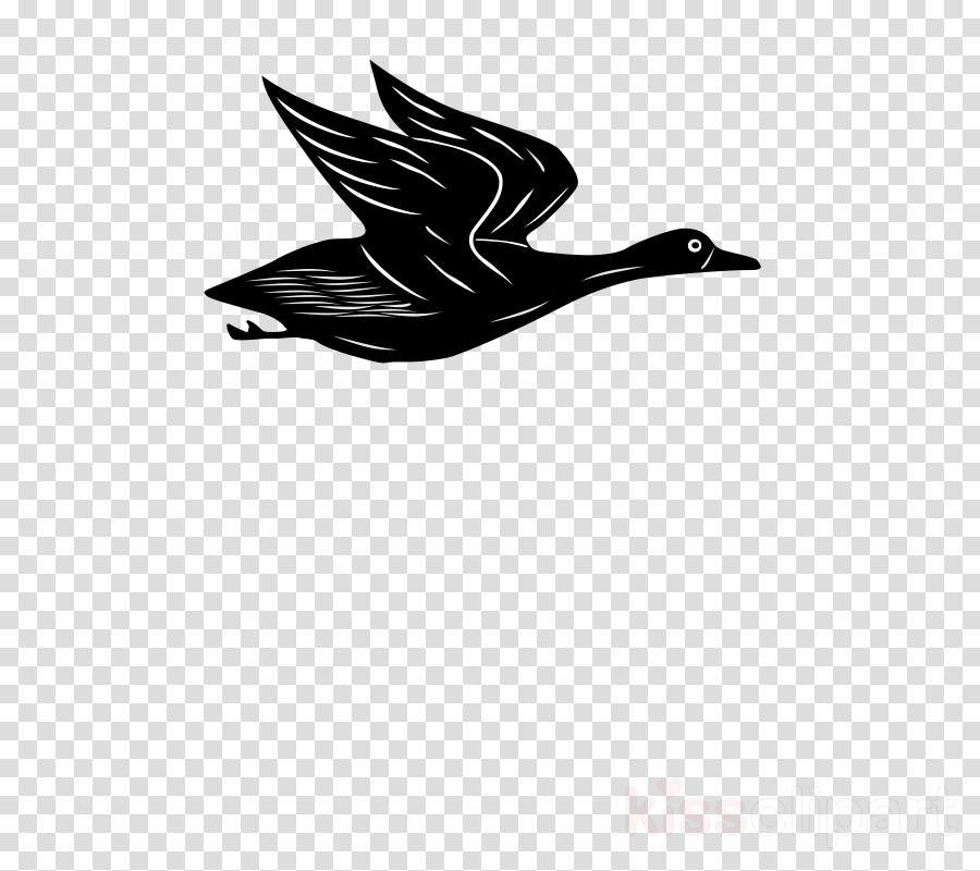 Cartoon Flying Duck Gif Clipart Duck Mallard Clip Art - Logo Dream League Soccer 2018 (900x800), Png Download