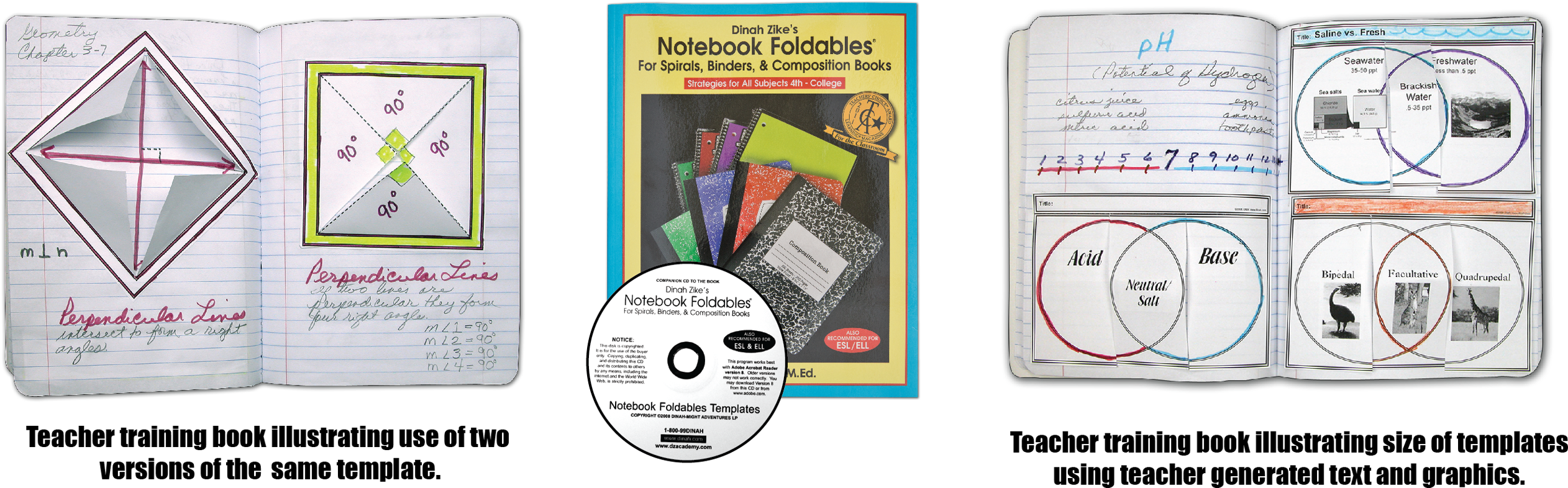 Dinah's Award Winning Book, Notebook Foldables, And - Dinah Zike's Notebook Foldables For Spirals, Binders, (2629x833), Png Download