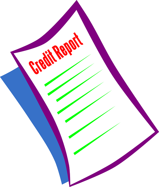 Credit Report - Credit Repair - Credit Score Clip Art (545x640), Png Download
