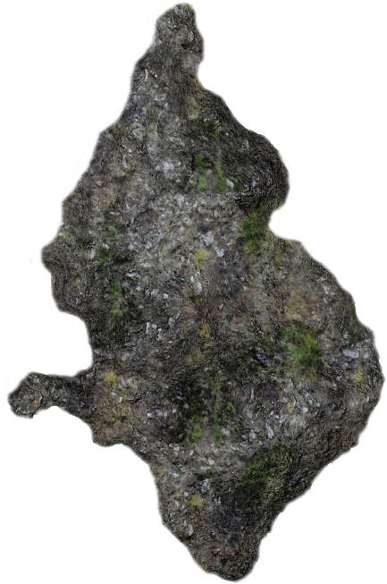 Moss Blu H 06 Feb 2009 - Outcrop (496x700), Png Download