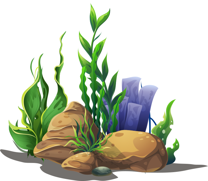 We Have Several Different Finance Options Available (703x612), Png Download