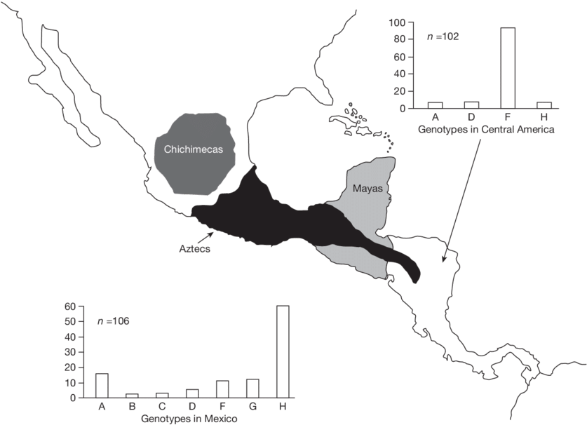 Distribution Of Hbv Genotypes In Central America And (850x667), Png Download