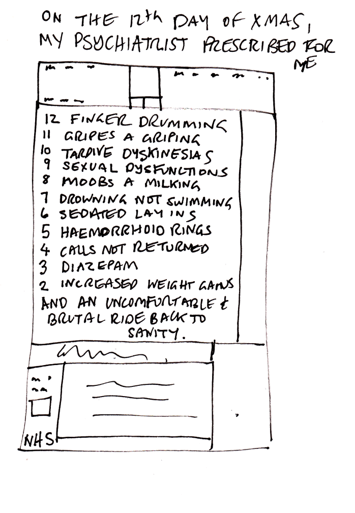 12 Days Of Xmas (717x1024), Png Download