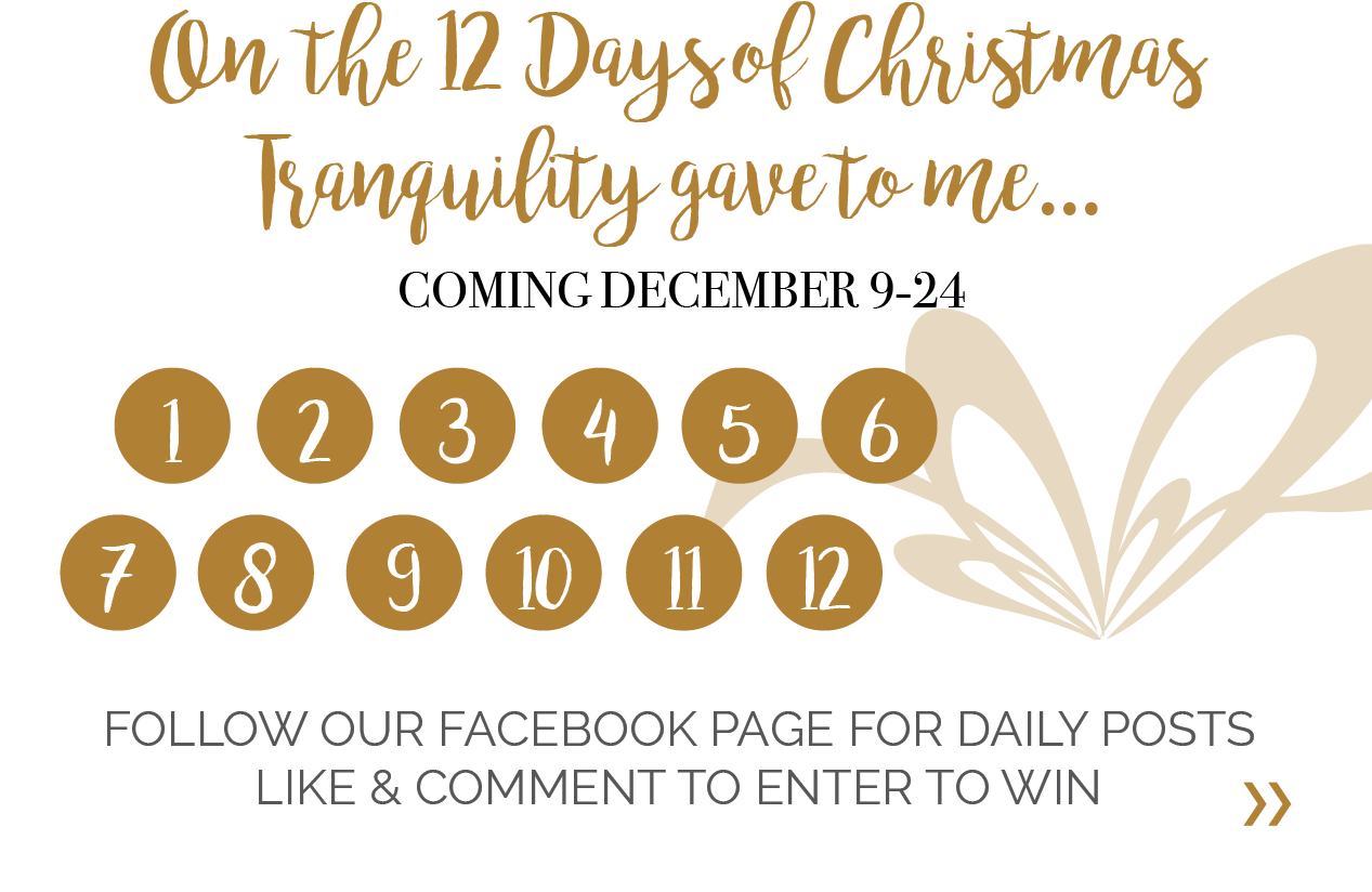 On Our Last 12 Business Days Before Christmas We Will (1266x868), Png Download