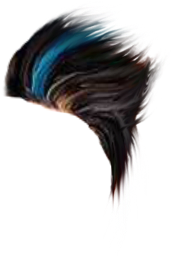 Hd Wall And Hair Png Srs - Magpie (1571x1025), Png Download