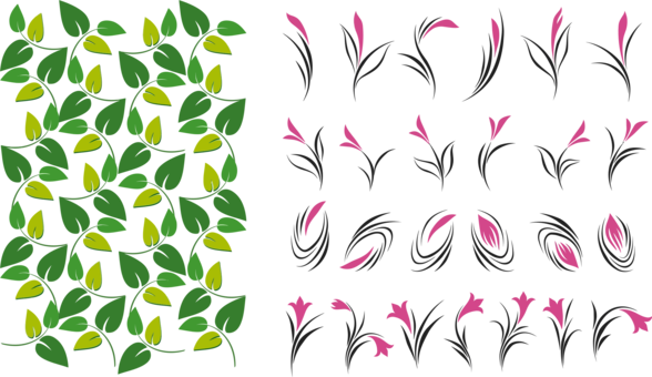Petal Leaf Flower Plant Stem Green - Vector (588x340), Png Download