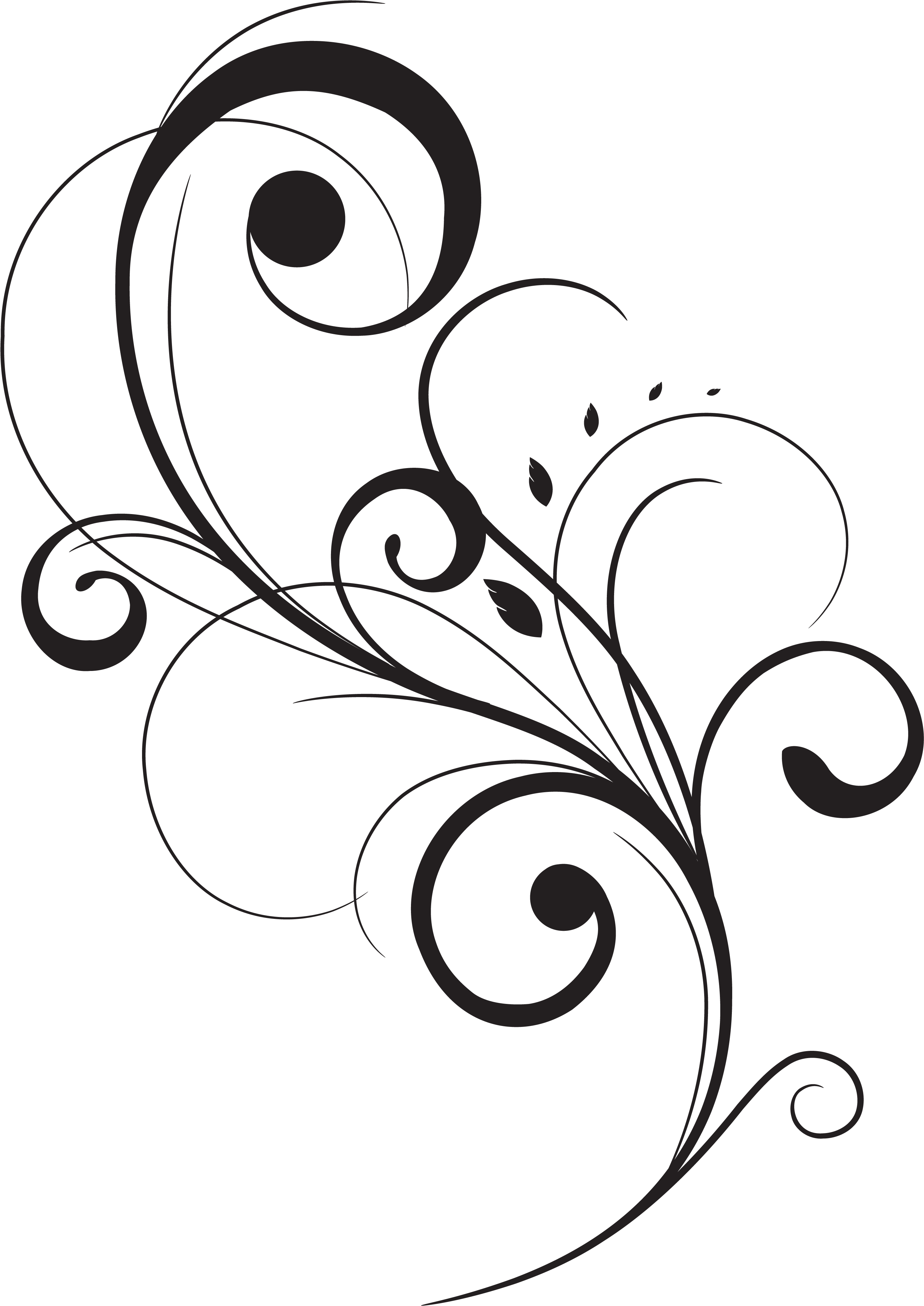 Swirl Drawing Stencil Huge Freebie Download For Powerpoint - Vector Floral Flourish (3000x4188), Png Download