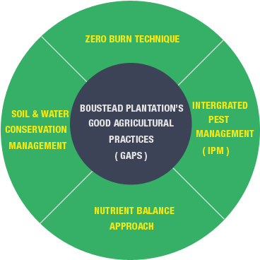 Overview - Good Agricultural Practices Palm Oil (500x400), Png Download
