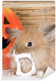 Brown Rabbit With Vampire Teeth, Halloween Pumpkin - Halloween (400x400), Png Download
