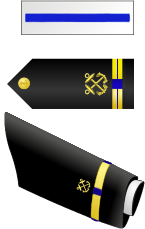 Navy Chief Warrant Officer - Navy Chief Warrant Officer 5 Insignia (314x484), Png Download