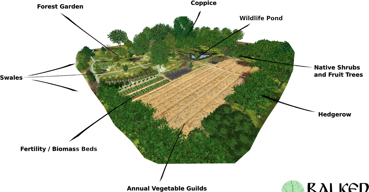 Balkan Ecology Project - Plantation (1200x630), Png Download