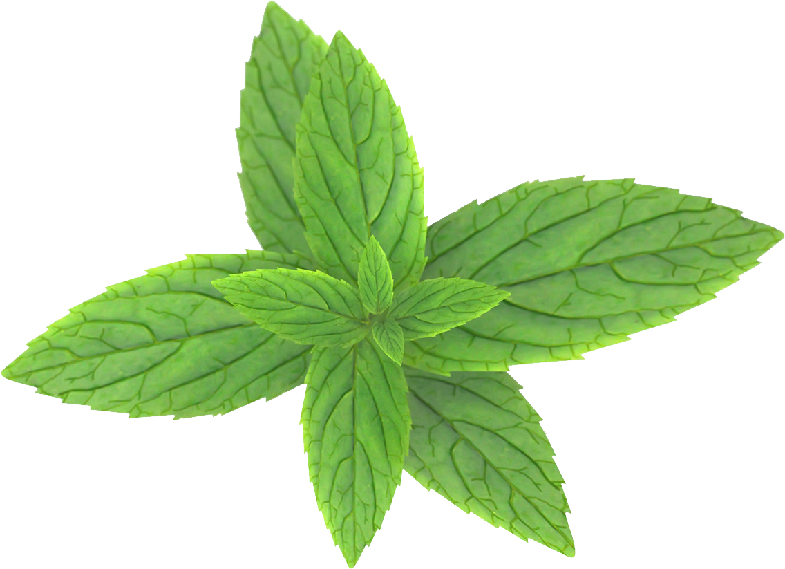 Mint Png (1136x823), Png Download