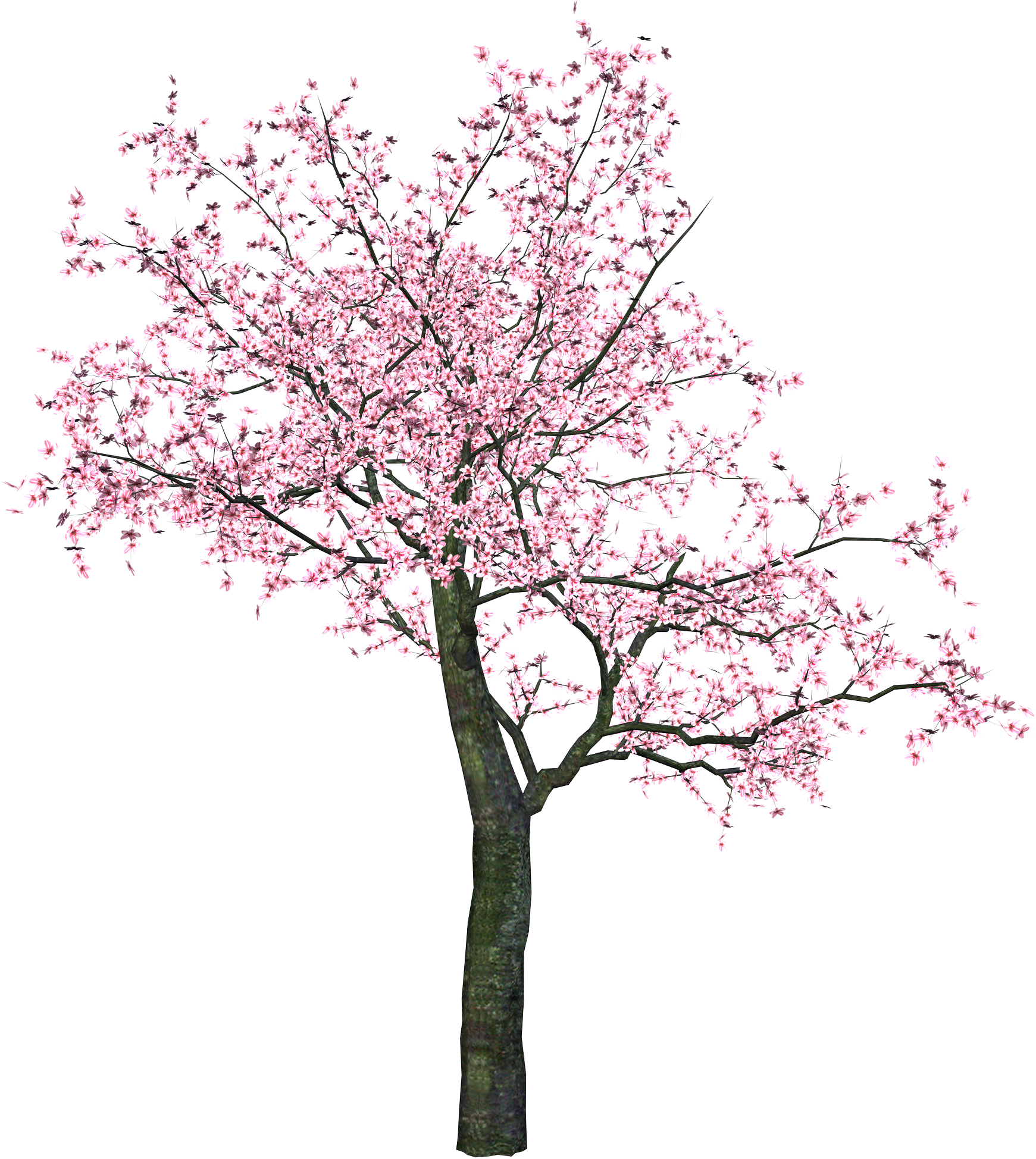 Sakura Png - Spring Tree Clip Art (1741x1948), Png Download